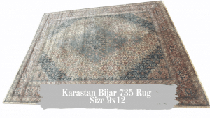 Read more about the article Karastan Bijar Rug 735 Size 8.8 x 12