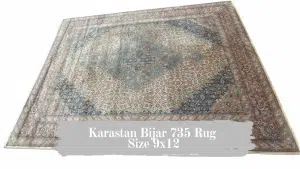 Read more about the article Karastan Bijar Rug 735 Size 8.8 x 12