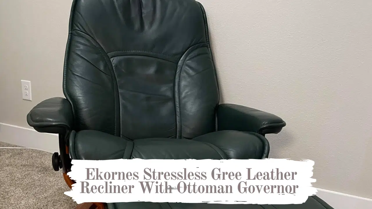 You are currently viewing Ekornes Stressless Recliner With Ottoman